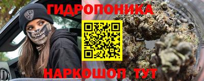 гашик Гусев