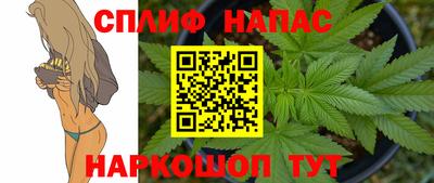 гашик Гусев