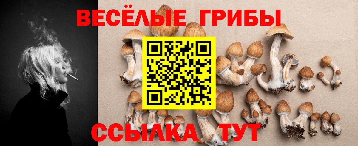 Когалым  Псилоцибиновые грибы Psilocybine cubensis  Вход с VPN 